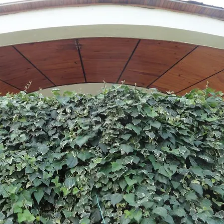 Ferienhaus Fiolek *