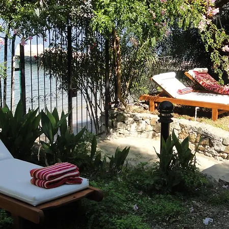 Fiolek * Fethiye